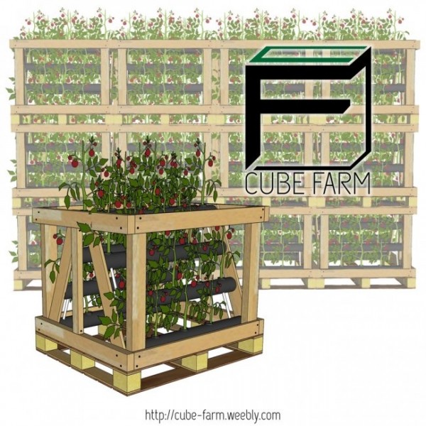 Cube Farm: модульная растениеводческая платформа