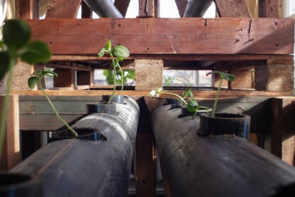 Cube Farm: модульная растениеводческая платформа