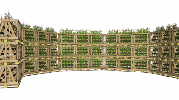 Cube Farm: модульная растениеводческая платформа