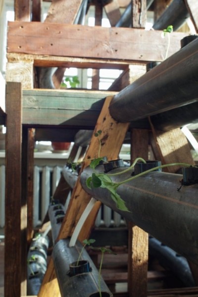 Cube Farm: модульная растениеводческая платформа