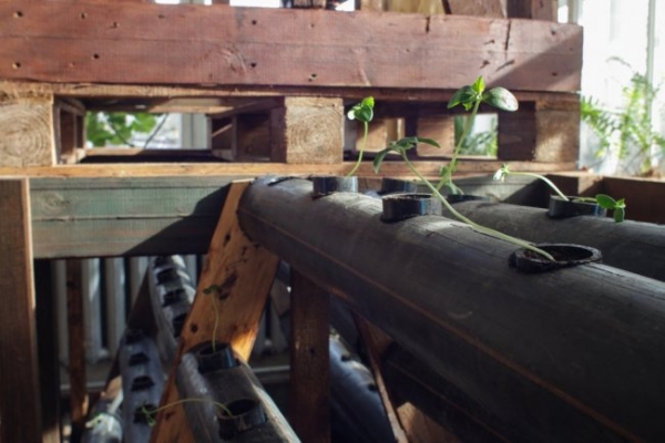 Cube Farm: модульная растениеводческая платформа