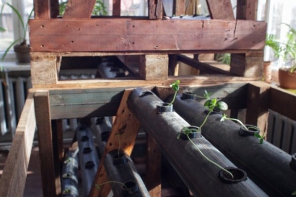 Cube Farm: модульная растениеводческая платформа