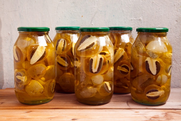 Дождевик гигантский Дождевик гигантский