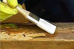 Какой лучший антисептик для бани Какой лучший антисептик для бани