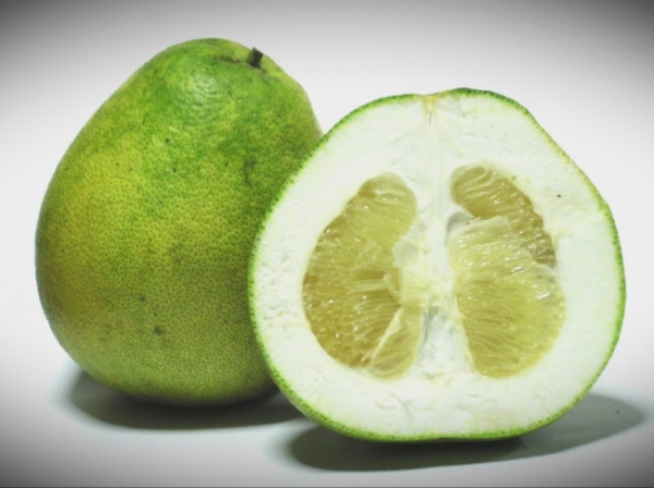 Помело Помело