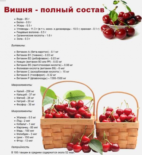 Вишня Вишня