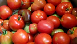 Несколько полезных советов от канала "Газета садовод" из 2023 года Несколько полезных советов от канала "Газета садовод" из 2023 года