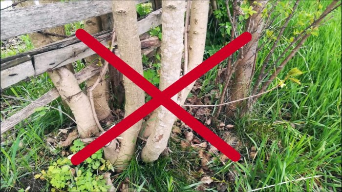 Метод против любой поросли Метод против любой поросли