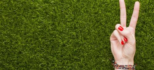 Борьба с сорняками на газоне. Делаем идеальный газон Борьба с сорняками на газоне. Делаем идеальный газон