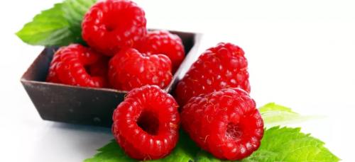 Уход за малиной: Полное руководство от посадки до урожая Уход за малиной: Полное руководство от посадки до урожая