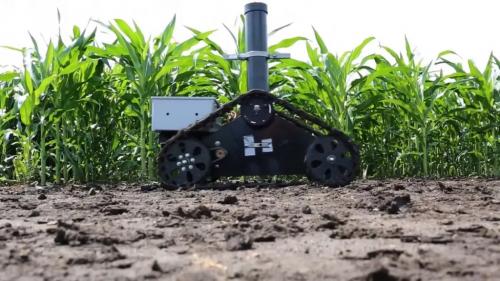 Борьба с вредителями: Эффективные способы защиты растений Борьба с вредителями: Эффективные способы защиты растений