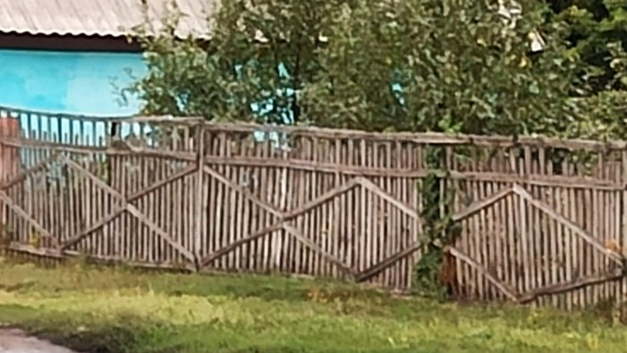 Как раз и навсегда защитить дерево копеечным дедовским методом Как раз и навсегда защитить дерево копеечным дедовским методом