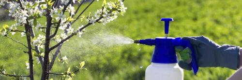 Борьба с вредителями: Эффективные способы защиты растений Борьба с вредителями: Эффективные способы защиты растений