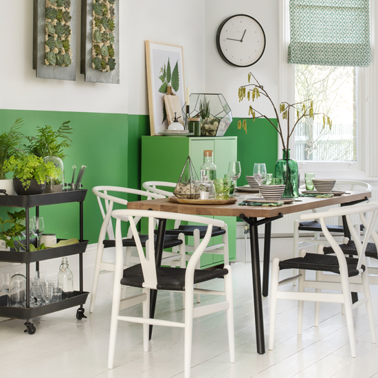 Стильная ботаника: освежаем интерьер с помощью комнатных растений