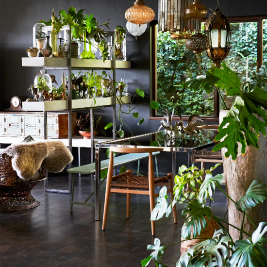 Стильная ботаника: освежаем интерьер с помощью комнатных растений