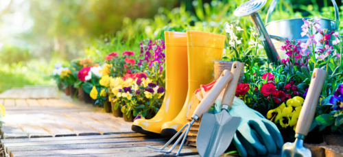 Борьба с вредителями: Эффективные способы защиты растений Борьба с вредителями: Эффективные способы защиты растений