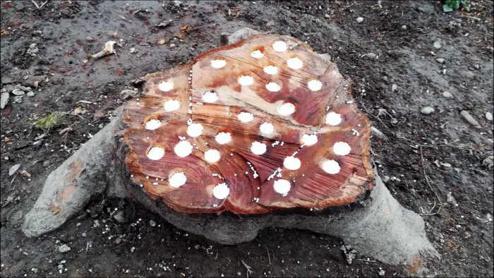 Метод против любой поросли Метод против любой поросли