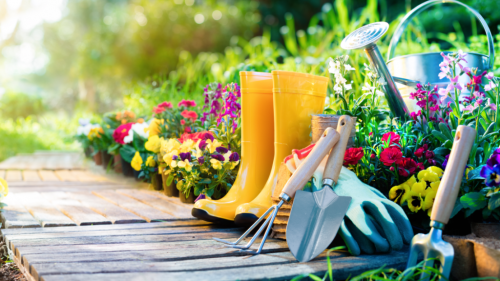 Борьба с вредителями: Эффективные способы защиты растений Борьба с вредителями: Эффективные способы защиты растений