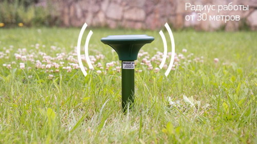 Борьба с вредителями: Эффективные способы защиты растений Борьба с вредителями: Эффективные способы защиты растений