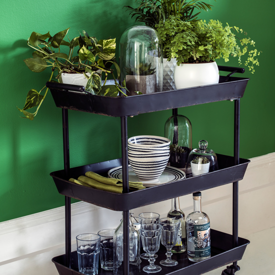 Стильная ботаника: освежаем интерьер с помощью комнатных растений