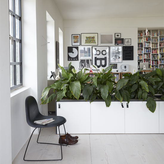 Стильная ботаника: освежаем интерьер с помощью комнатных растений