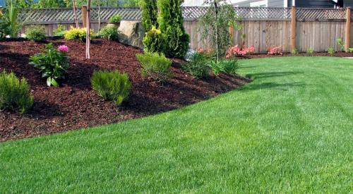 Борьба с сорняками на газоне. Делаем идеальный газон Борьба с сорняками на газоне. Делаем идеальный газон