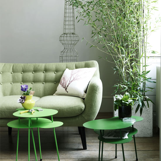 Стильная ботаника: освежаем интерьер с помощью комнатных растений