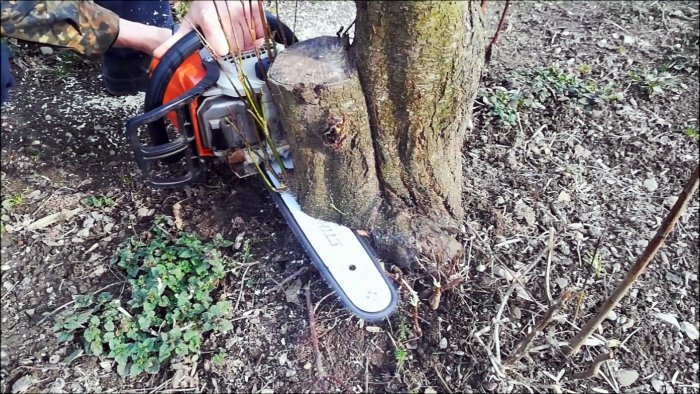 Метод против любой поросли Метод против любой поросли