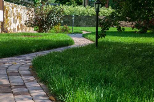 Борьба с сорняками на газоне. Делаем идеальный газон Борьба с сорняками на газоне. Делаем идеальный газон