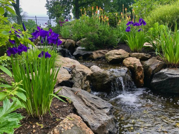 Как «лечит» сад звуков — создаем природную симфонию