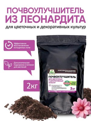 Как подготовить клумбы, деревья и кустарники к зиме: питание и защита почвы