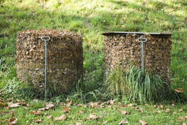 Как превратить опавшие листья в полезное удобрение? Всё о листовой земле