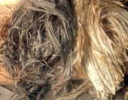 Конопатка сруба бани или деревянного дома