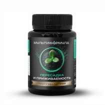 Пересаживаем многолетники осенью без последствий для растений Пересаживаем многолетники осенью без последствий для растений