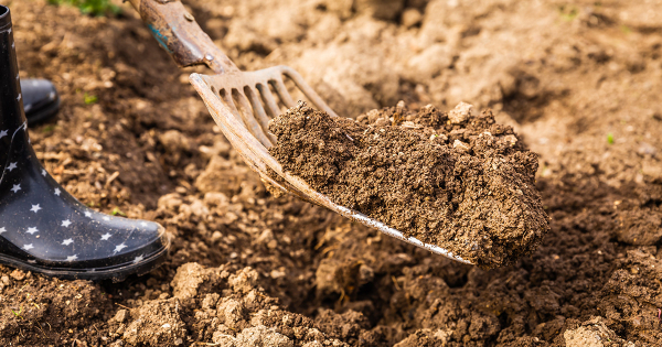 Подготовка грядок осенью — 5 шагов для богатого урожая Подготовка грядок осенью — 5 шагов для богатого урожая