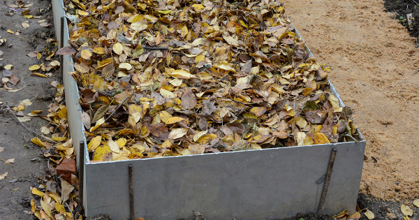 Подготовка грядок осенью — 5 шагов для богатого урожая Подготовка грядок осенью — 5 шагов для богатого урожая