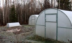 Подготовка теплиц и почвы в теплице к следующему сезону