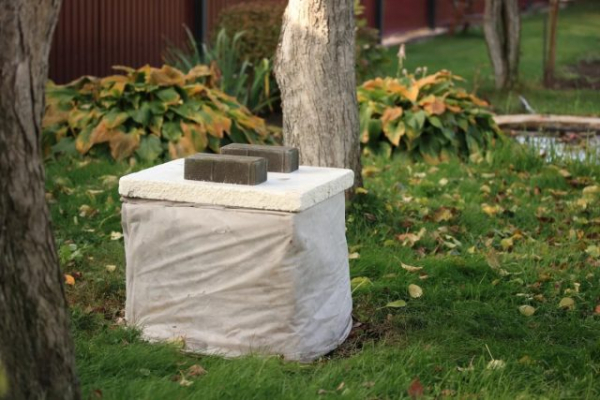 Самая подробная инструкция по уходу за гортензиями осенью Самая подробная инструкция по уходу за гортензиями осенью