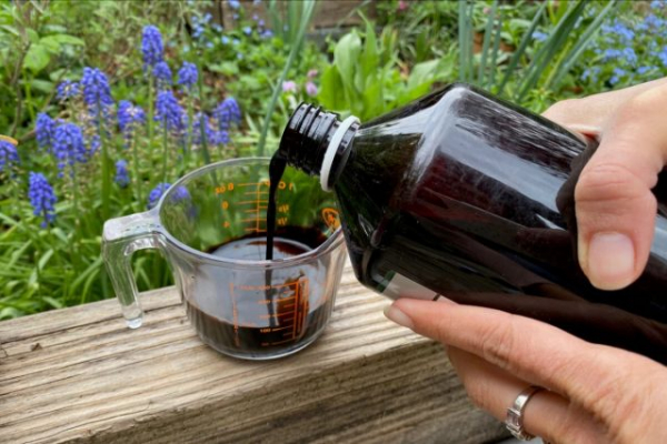 Самая подробная инструкция по уходу за гортензиями осенью Самая подробная инструкция по уходу за гортензиями осенью