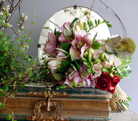 Морозник - рождественская роза