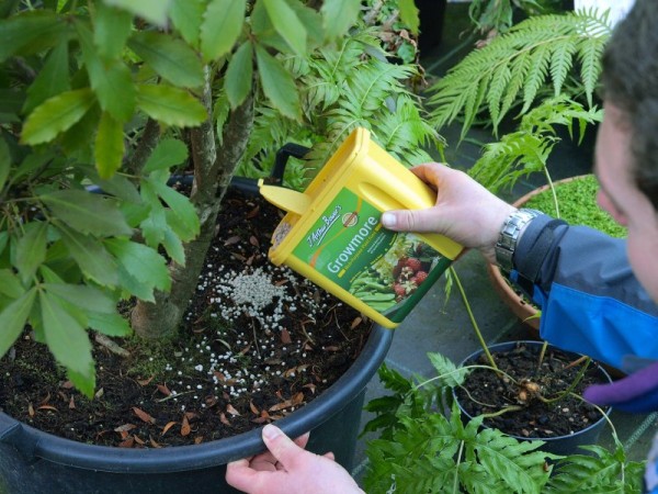 Подкормки и удобрения для садовых цветов и растений Подкормки и удобрения для садовых цветов и растений