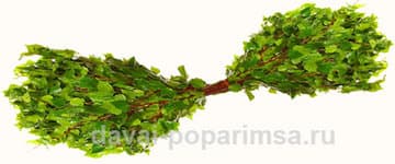 Банный веник душу тешит да тело нежит