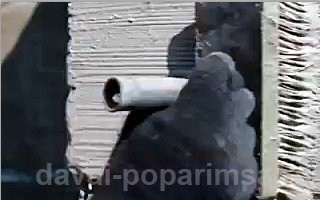 Гидроизоляция фундамента своими руками – виды и устройство Гидроизоляция фундамента своими руками – виды и устройство