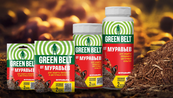 Как найти и уничтожить муравейник