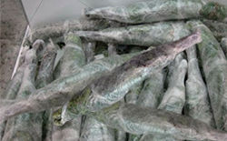 Как сушить веники для бани