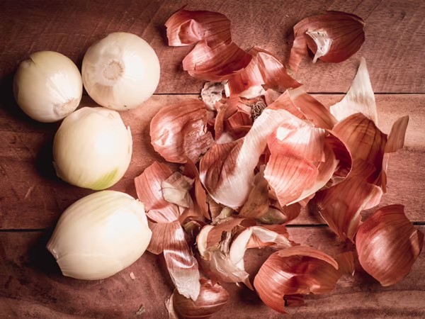 Польза луковой шелухи для растений — личный опыт и научное объяснение Польза луковой шелухи для растений — личный опыт и научное объяснение