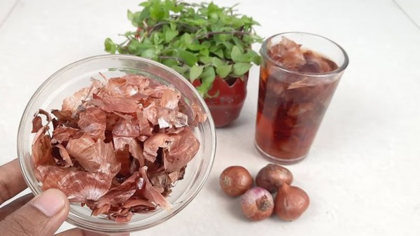 Польза луковой шелухи для растений — личный опыт и научное объяснение Польза луковой шелухи для растений — личный опыт и научное объяснение