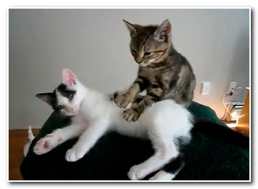 Техника массажа в бане – правила выполнения Техника массажа в бане – правила выполнения