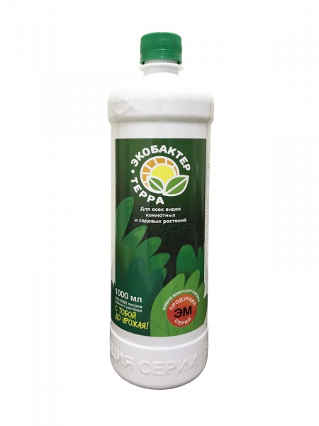 Живая почва для комнатных растений — раскрываем весь потенциал